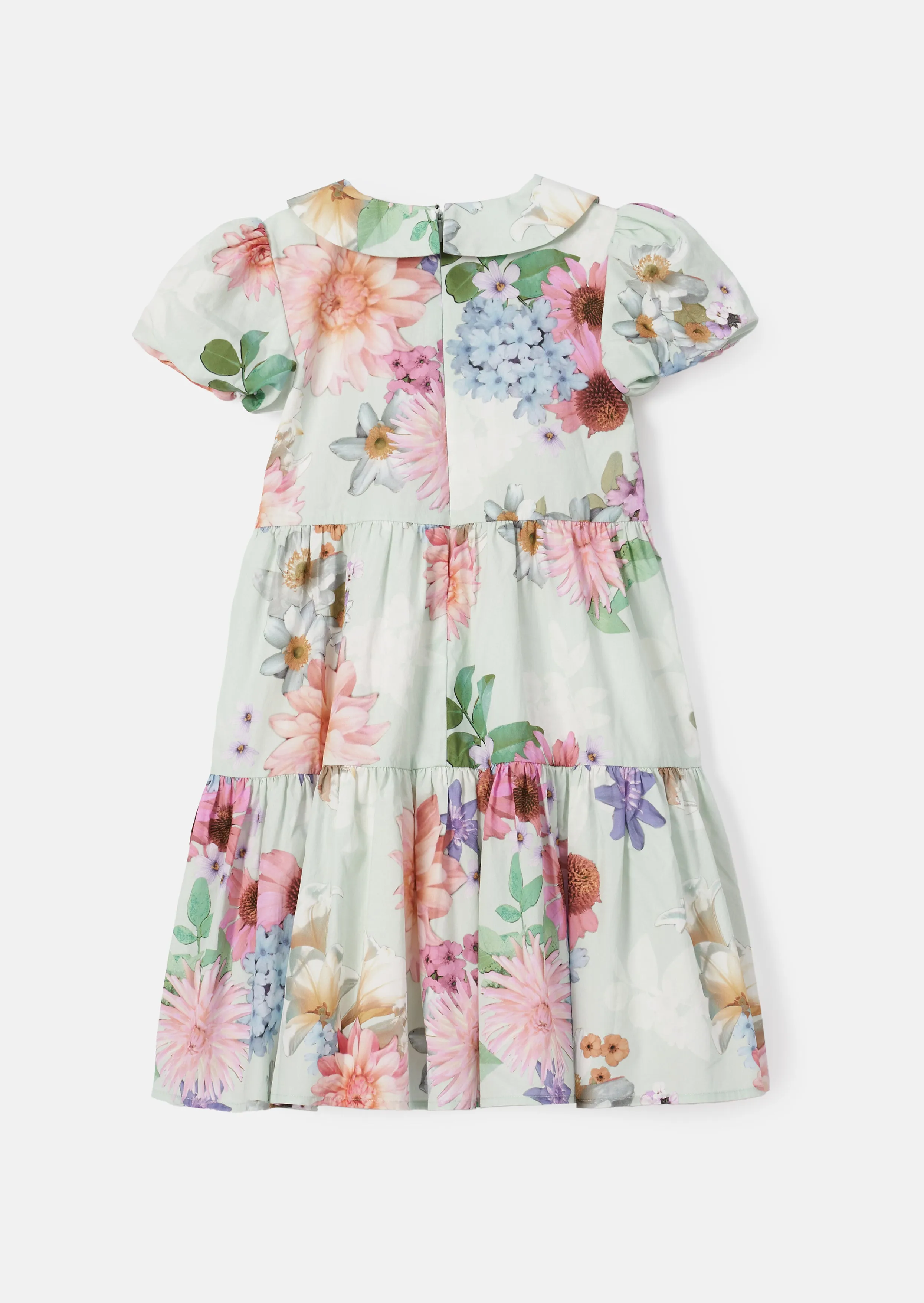 Lucia Sage Collar Print Dress