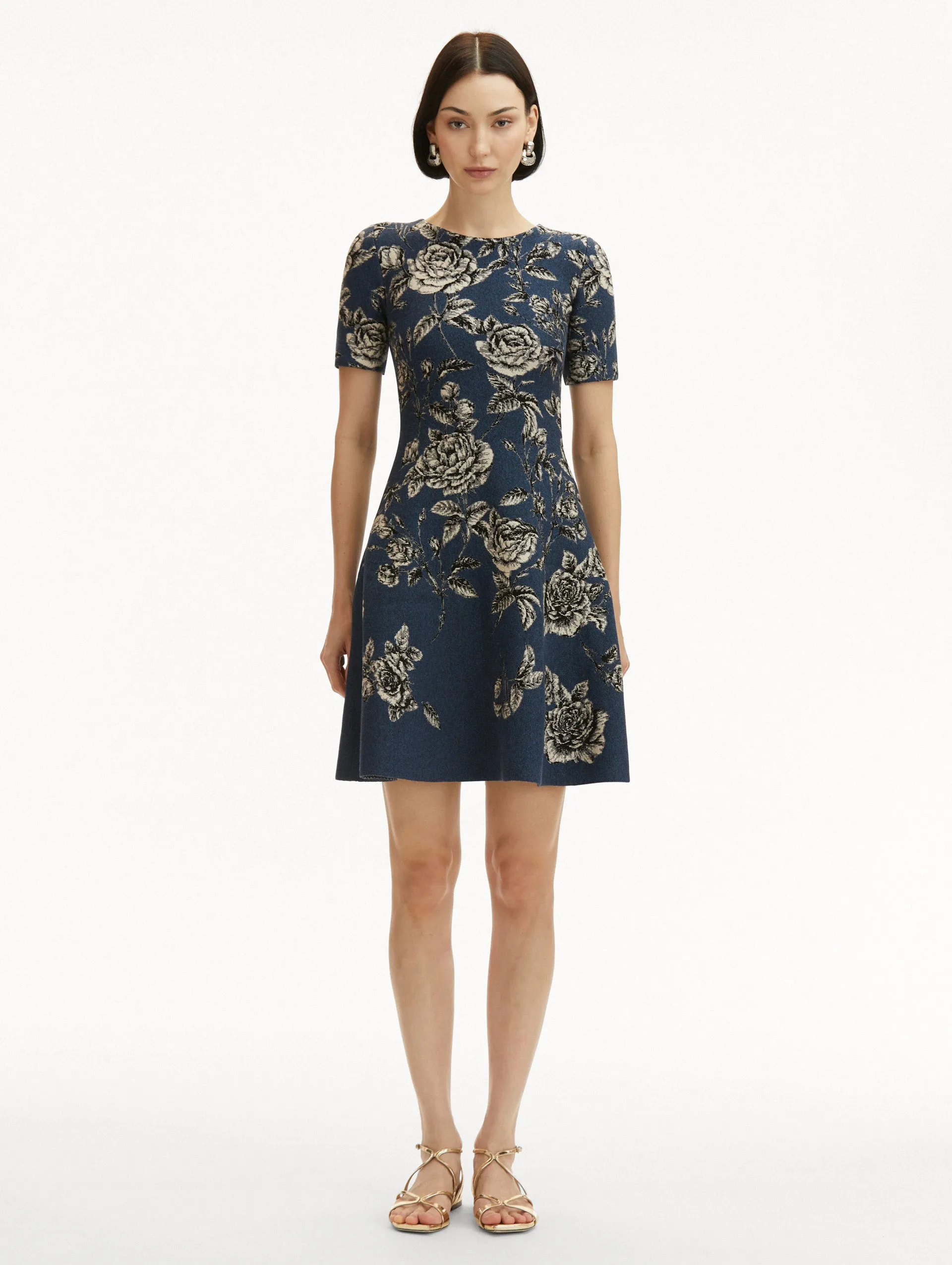 Rose Printed Jacquard Dress